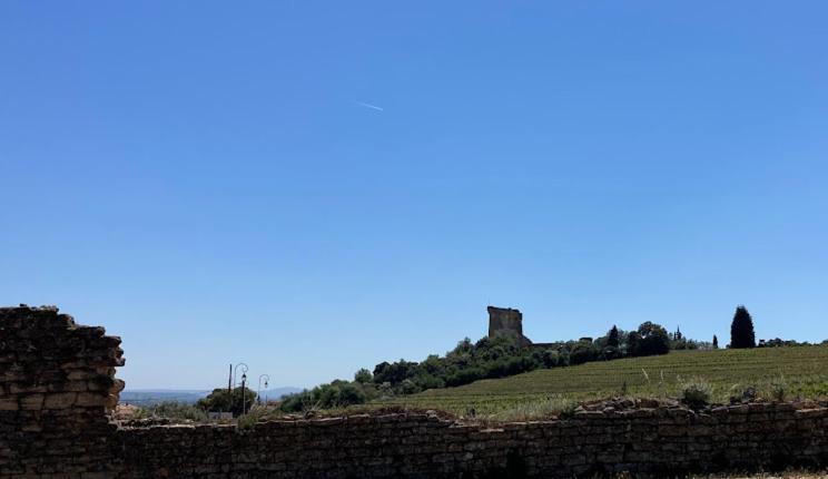 Châteauneuf-du-Pape Bienvenue Chez Shiva 아파트 외부 사진